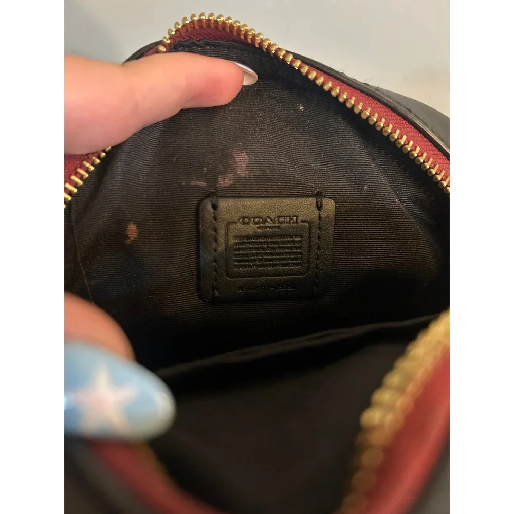 Coach mini serena